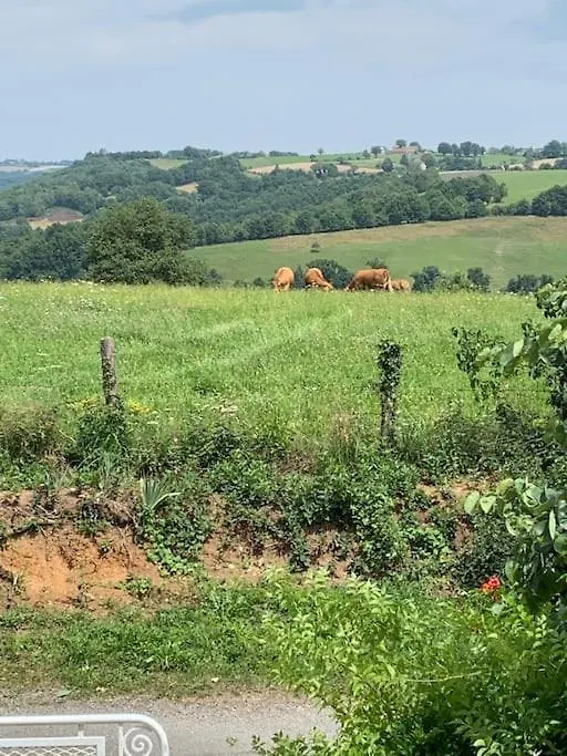 La Ferme Villa La Salvetat-Peyrales 0*,  France